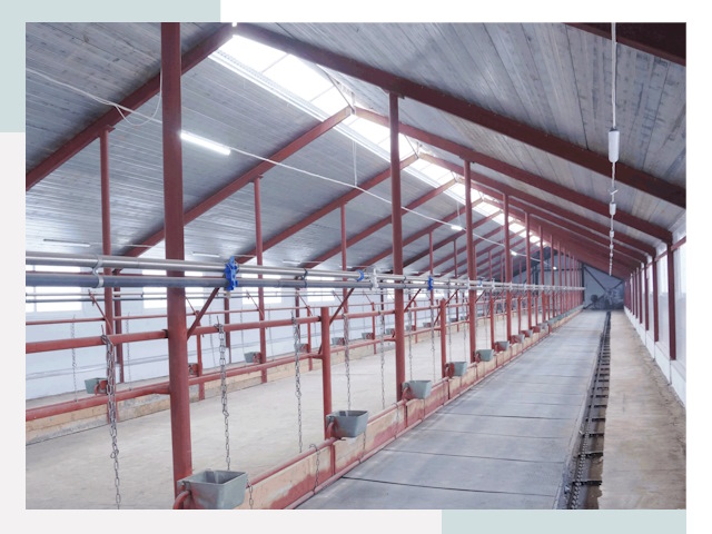 Строительство коровников в Лабинске от 643 руб.